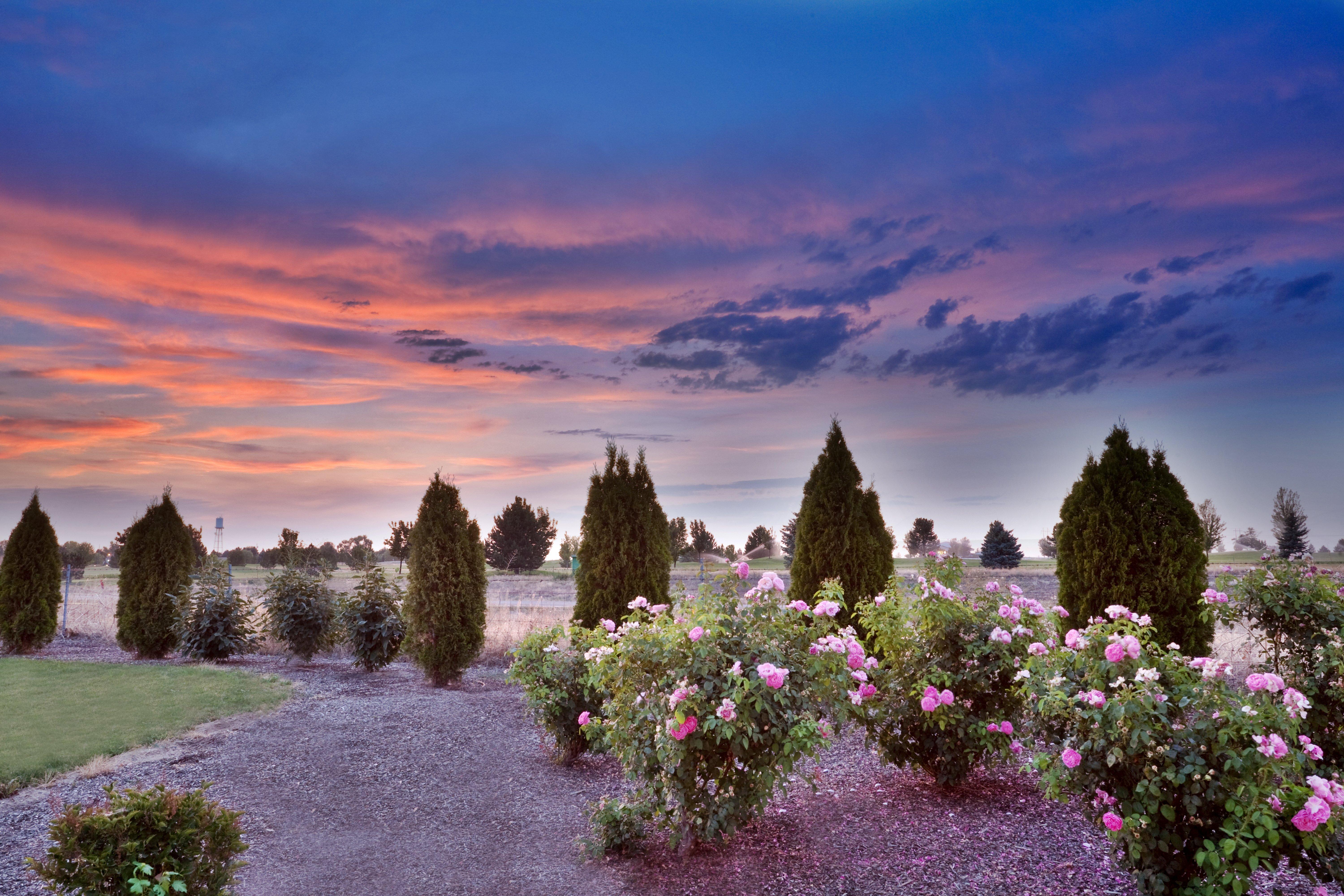 Holiday Inn Express & Suites Nampa - Idaho Center By Ihg Luaran gambar
